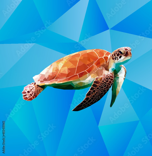 Turtle vector poligonal 