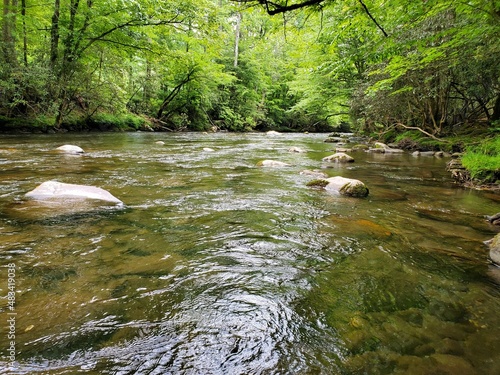 Creek in the Mountains