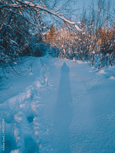 The shadow of a human and human deep tracks in the snow on a sunset in winter. Hiking through a snow-covered sunny forest.