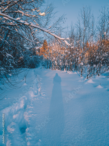 The shadow of a human and human deep tracks in the snow on a sunset in winter. Hiking through a snow-covered sunny forest.