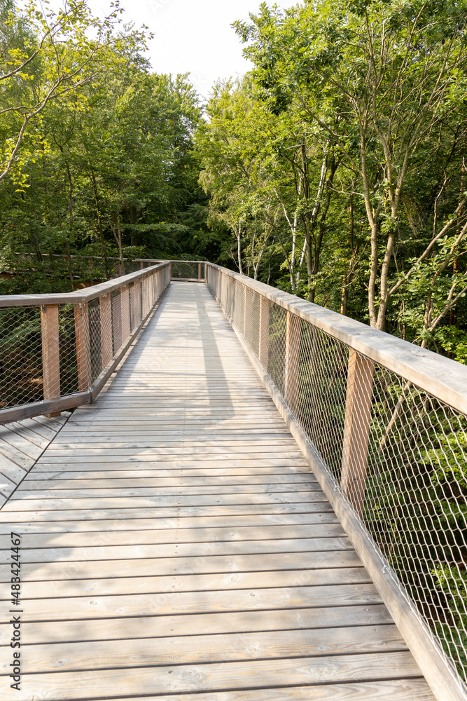 The new tree-top walk in Heringsdorf as an excursion destination The new tree-top walk in Heringsdorf as an excursion destination
