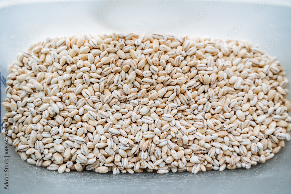 Pearl barley top view. White cereal. Pearl barley grains. Pearl barley top view. White cereal. Pearl barley grains.