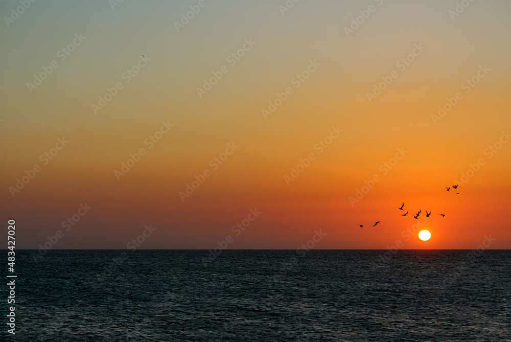 Beautiful sunset with the sun and seabirds in the emerald riviera yucate