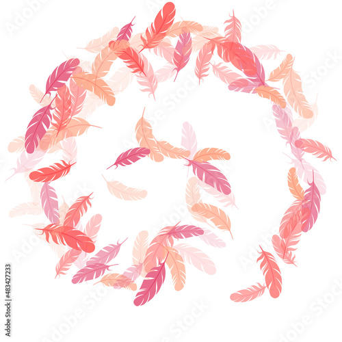 Detailed majestic feather on white design.