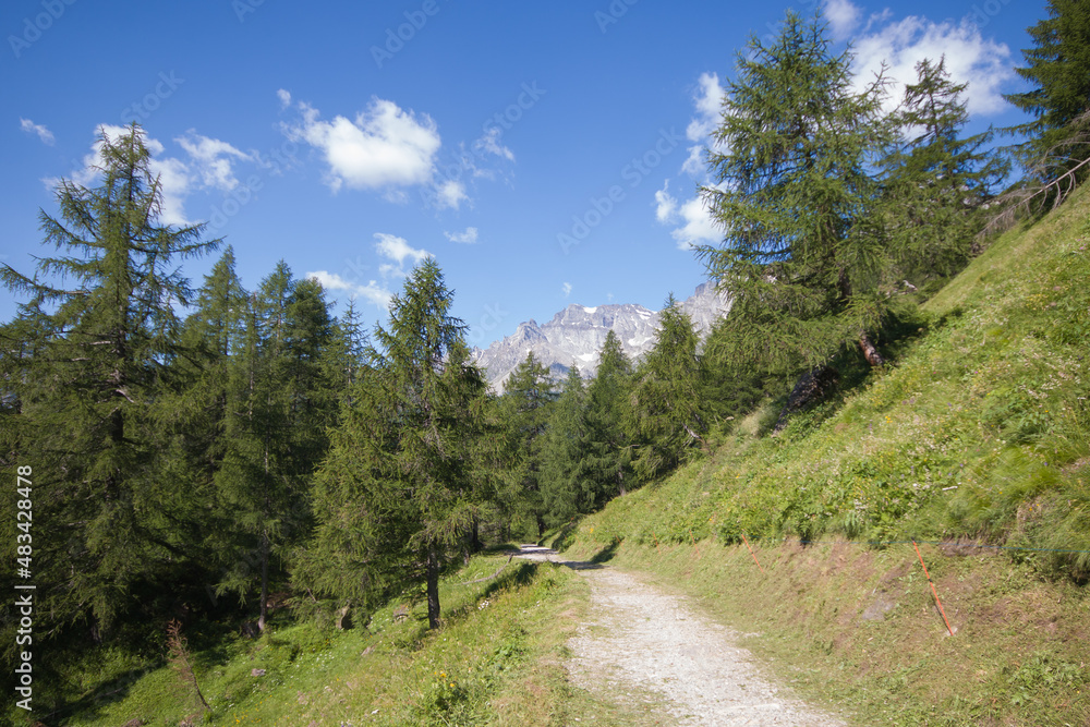 Panoramic view of alpine pathway in the forest during summer day of sun in Piedmont, Italy Panoramic view of alpine pathway in the forest during summer day of sun in Piedmont, Italy