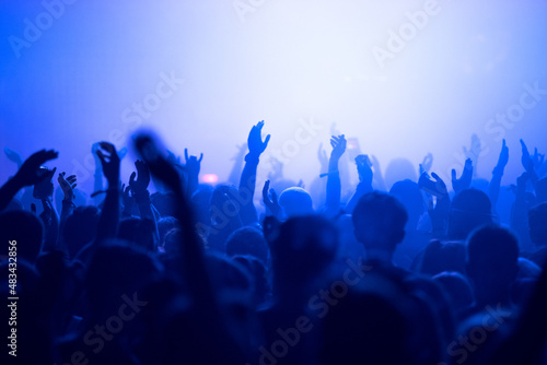 Crowd of people clubbing at live concert
