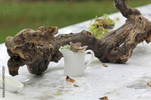 Tableware settings in outdoor venue with nature