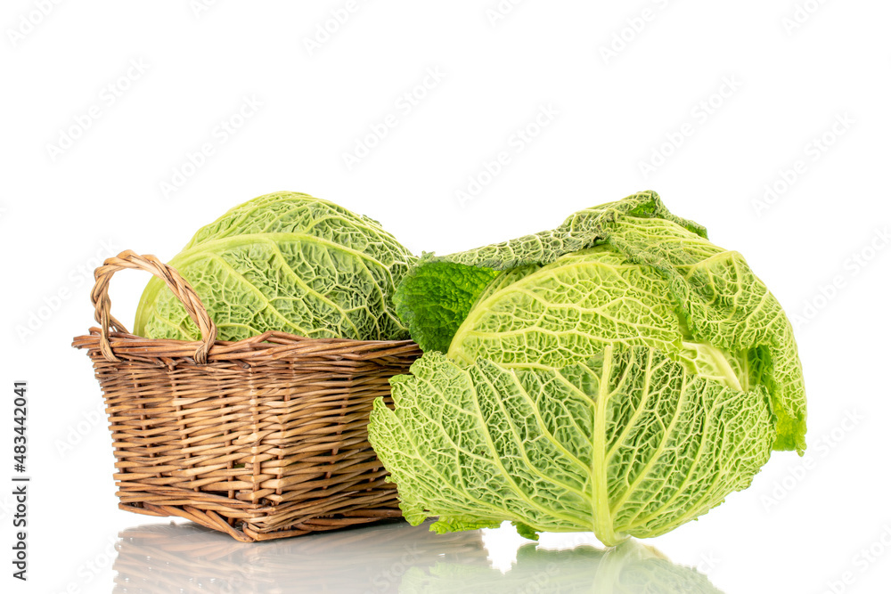 Fototapeta premium Two bunches of organic Savoy cabbage with basket, macro, isolated on white.