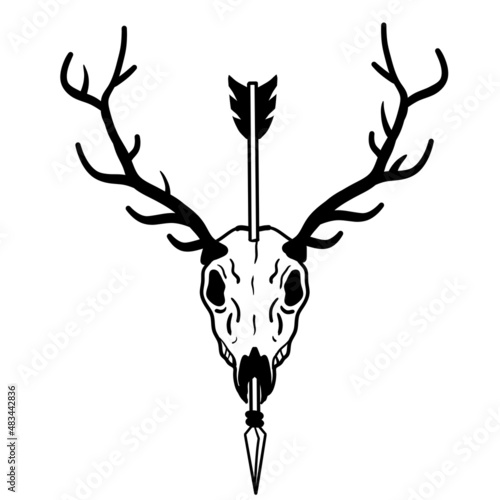 Skull of deer with arrow in head. Hunting trophy with horns. Antler of stag or reindeer with headshot. Scary black and white drawing for Halloween.