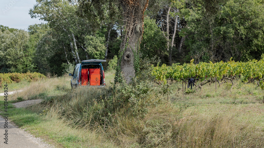 Small scale micro-harvest laoded into the back of a van Small scale micro-harvest laoded into the back of a van