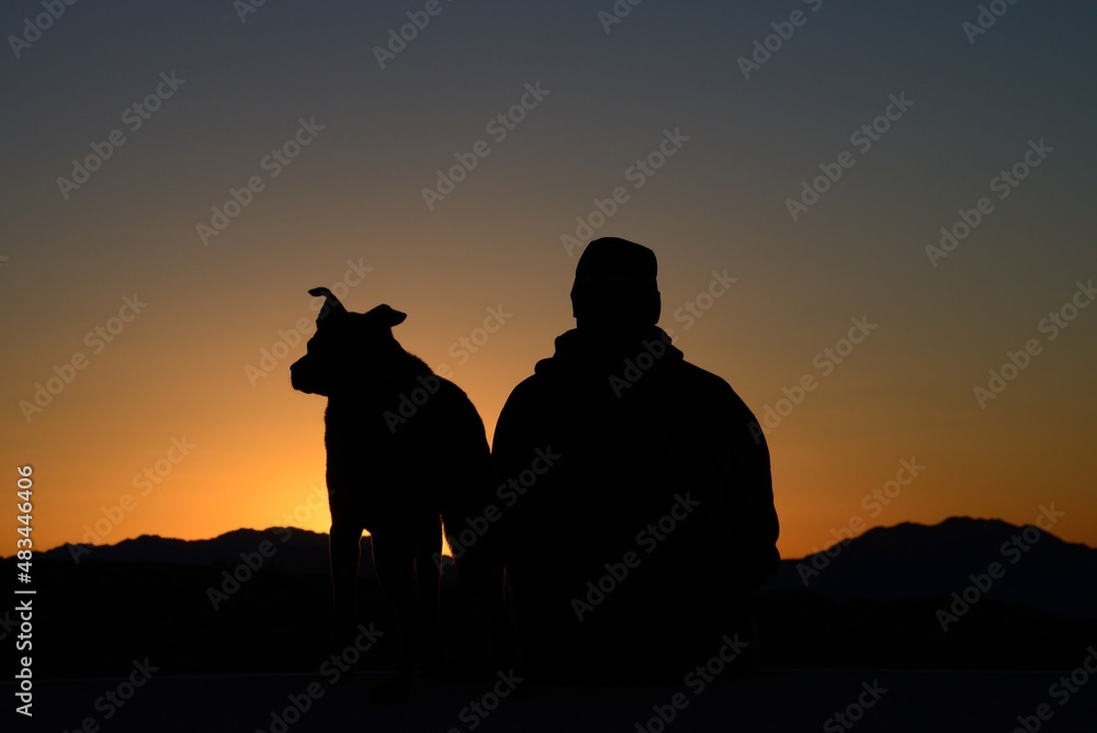 Dog and master watching sunrise, Mojave Desert, California, USA, MR