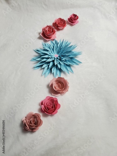 red rose on the snow