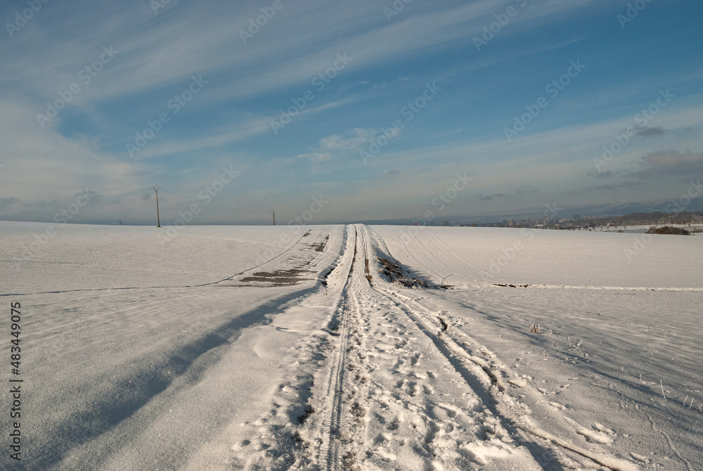 Imagen de paisaje nevado en Alava.