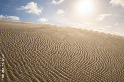 Boiling sands. Global warming concept. Lonely sand dunes. Sand flying in the wind.