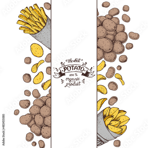Potato vector illustration. Fast food design template. French fries, rustic potatoes and chips hand drawn. Colorful illustration.