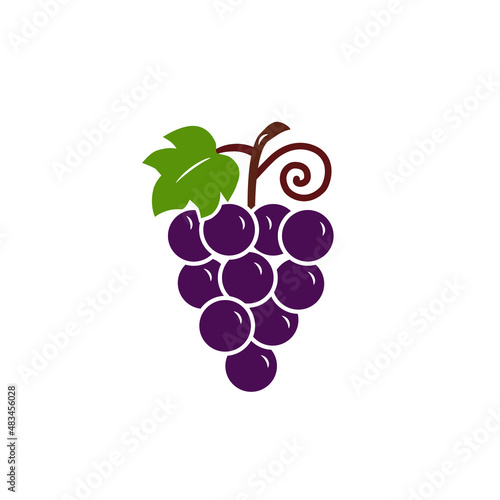 Grape bunch with leaf, icon, logo. Isolated on white background vector illustration.