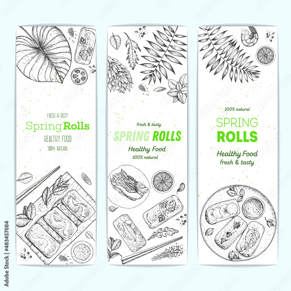 Vietnamese food banner collection. Asian food menu design template. Spring rolls and ingredients for spring rolls vector illustration. Vintage hand drawn sketch vector illustration. Engraved image.