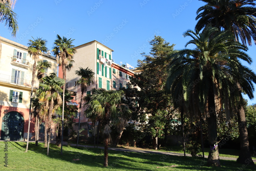 Genova, Italy - January 28, 2022: Park of Nervi by winter days. Green park for relax. Natural park near the sea, with some tall trees. Clear blue sky in the background.