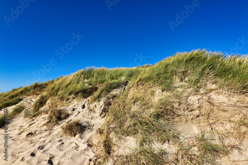 North Sea beach and dunes in Denmark