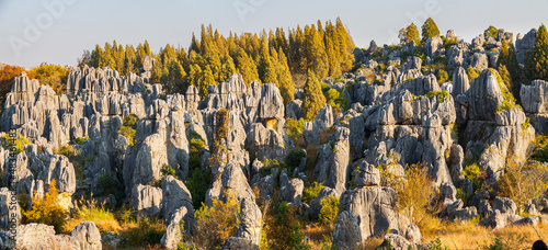 Karst landscape with limestone rocks and pillars in the Shilin Stone Forest, Yunnan province, China photo