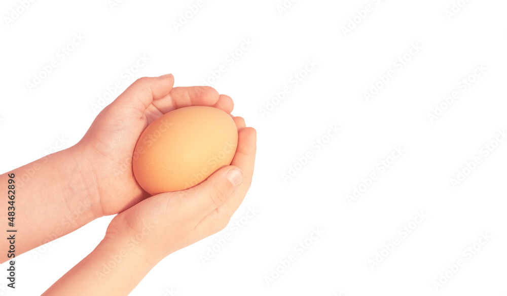 the child's hands hold a chicken egg on a white insulated background. High quality photo the child's hands hold a chicken egg on a white insulated background. High quality photo