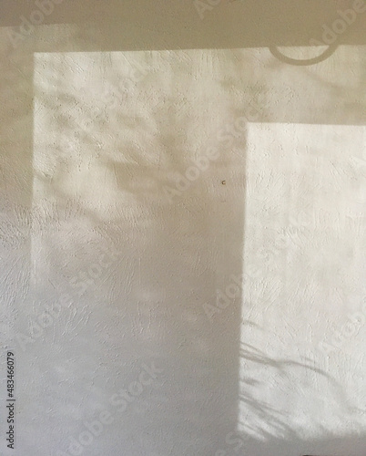 Rectangle and Plant Shadows on a Light Textured Wall