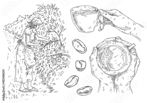 Set coffee. Glass latte, hand hold cup. Branch with beans