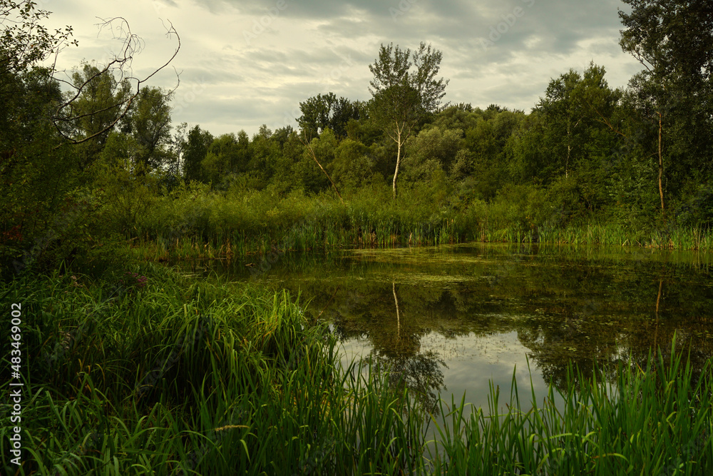 Fototapeta premium jeziorko