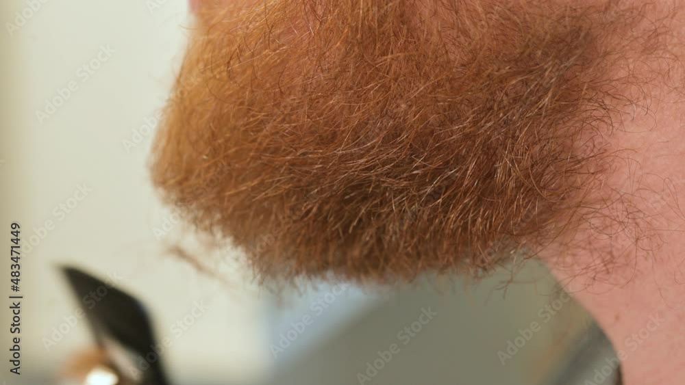 Close up of trimming beard under chin and neck. Man cuts his own facial