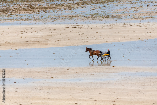 Beautiful beach at Agon-Coutainville in Normandy, with a horse and a rider 