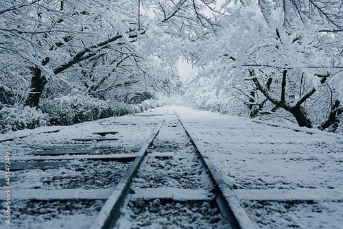 Snow Rainway in Kyoto, Japan