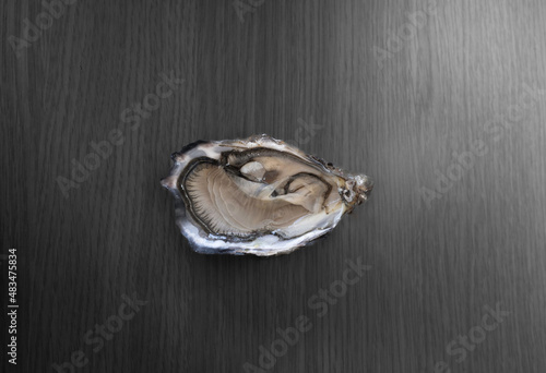 Oysters. French Oysters. Opened oysters. Crassostrea gigas. Ebro Delta Oyster. Ostra Japanica. Pacific oyster