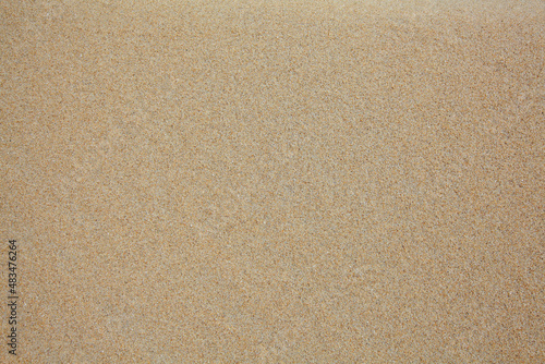 바닷가 갈색모래 