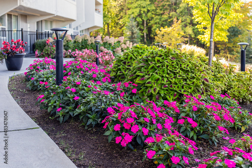 Beautiful plants and flowers in front of residential house in Ottawa, Canada in summer . Landscape near apartment building.