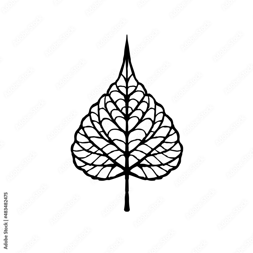 Hand drawn leaf of bodhi