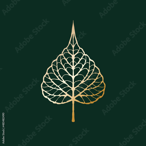 Hand drawn leaf of bodhi