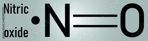 Nitric oxide NO free radical and signaling molecule. Skeletal formula.