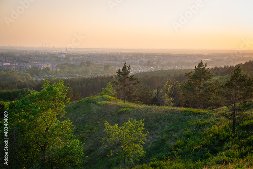 View of the city from the mountain through the forest.