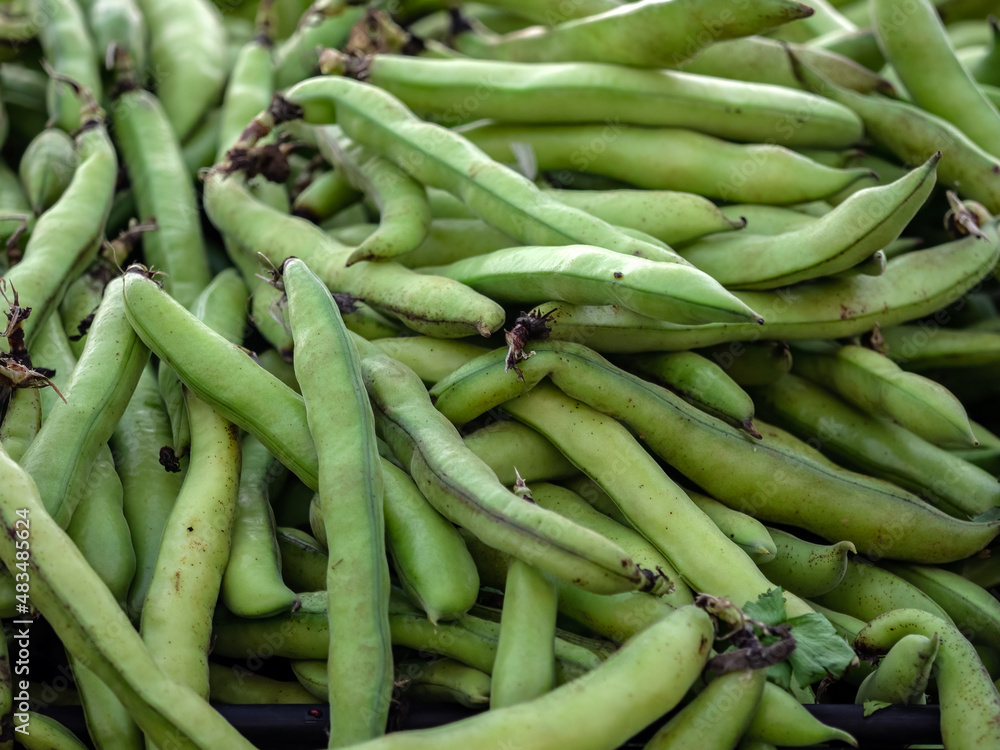 Fresh Broad beans at a Farmers Market