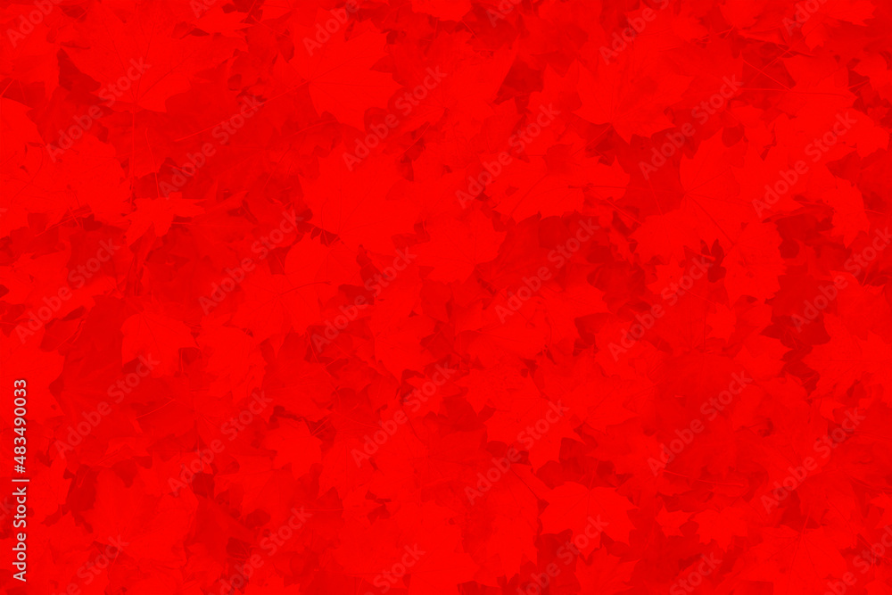 red autumn background red autumn background