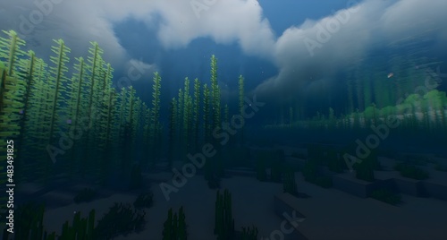 View of ocean. Minecraft