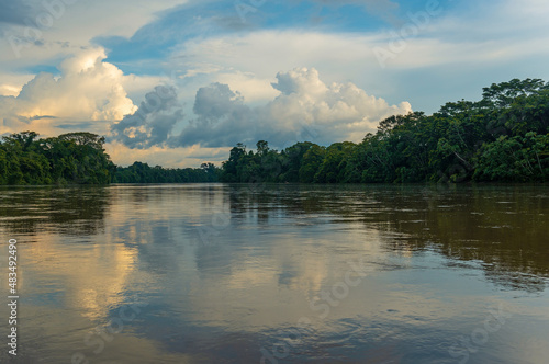 Amazon rainforest along Aguarico river, Cuyabeno wildlife reserve, Ecuador. photo