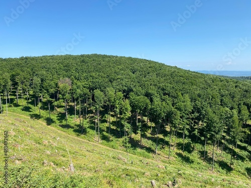 Beech forest in Papuk Nature Park - Slavonia  Croatia  Bukova   uma u parku prirode Papuk - Slavonija  Hrvatska 