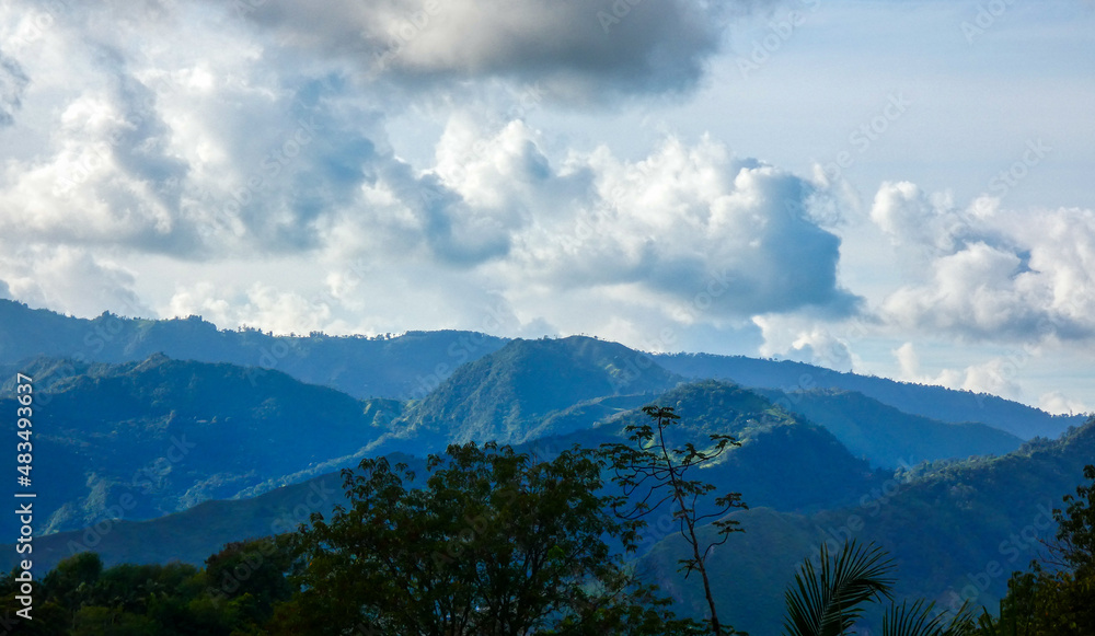 Grupo de plantas de una selva pequeña enfocadas por delante de un paisaje verde de montañas Grupo de plantas de una selva pequeña enfocadas por delante de un paisaje verde de montañas