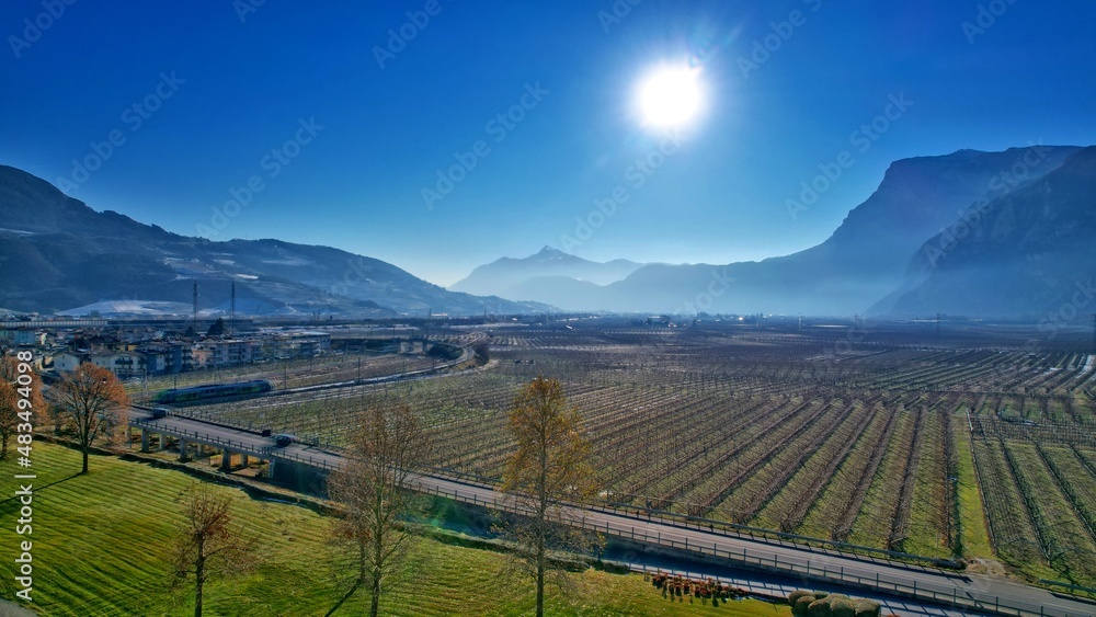 Naklejka premium Winnica w górach 