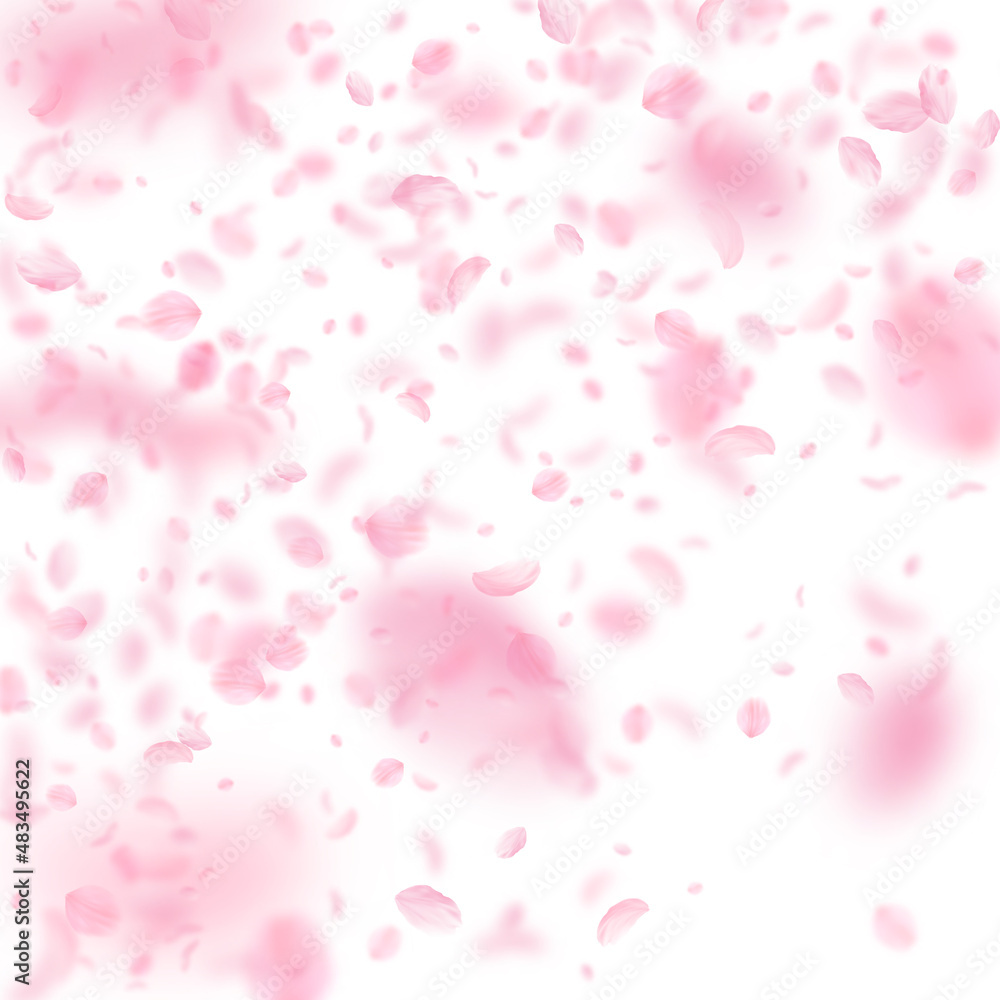 Sakura petals falling down. Romantic pink flowers gradient. Flying petals on white square background. Love, romance concept. Cool wedding invitation.