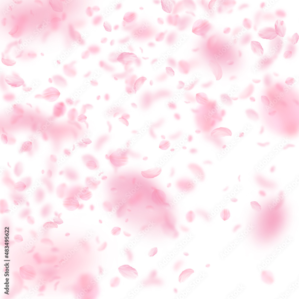 Sakura petals falling down. Romantic pink flowers gradient. Flying petals on white square background. Love, romance concept. Cool wedding invitation. Sakura petals falling down. Romantic pink flowers gradient. Flying petals on white square background. Love, romance concept. Cool wedding invitation.