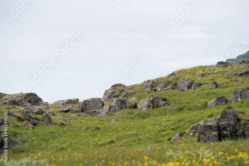 Green Grassy mountain Landscape Highland Cold Grey travel beautiful 