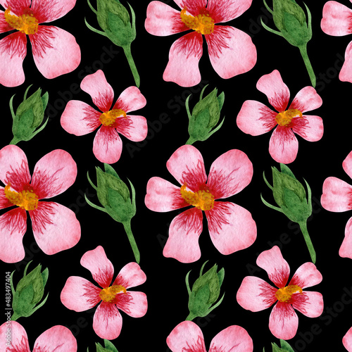 Watercolor tropical pattern with hibiscuses, Leaves and buds