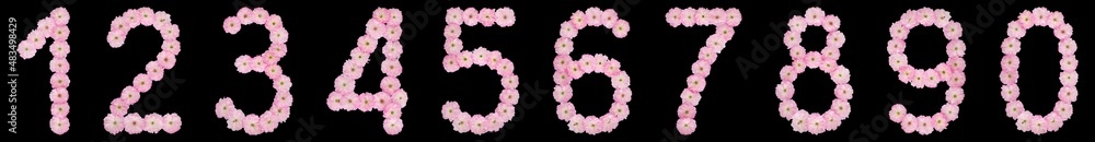 Set of arabic numbers from natural pink flowers of almond tree, isolated on black background